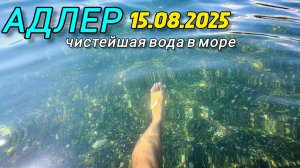Адлер 2025. Чистейшая вода в море. Сочи в августе. Черное море.