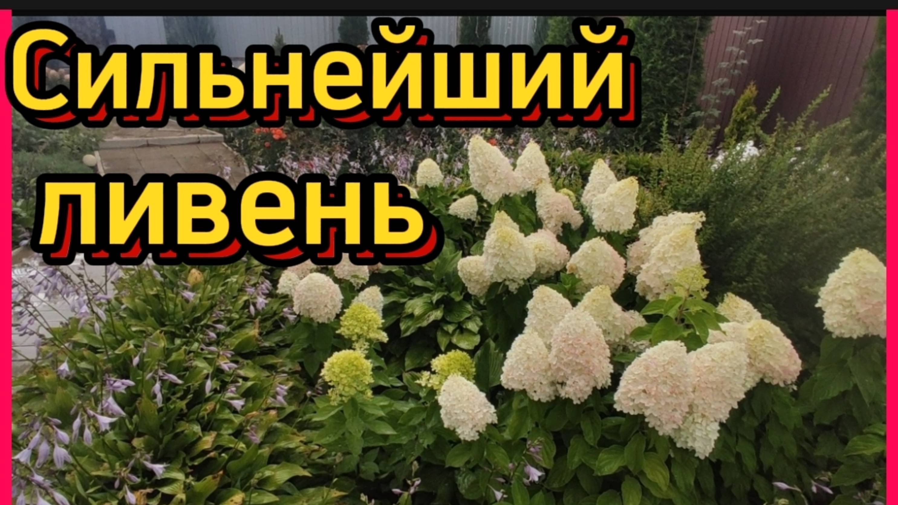 Сильнейший ливень 💦 А после него красота.... смотреть онлайн