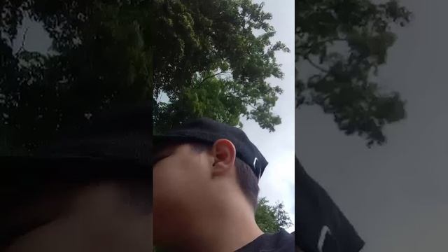 выбор  за чатом