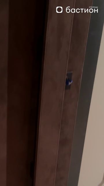 Дверь весом 500 кг для УБЕЖИЩА?! #бастион #двери #отделкадвери смотреть онлайн