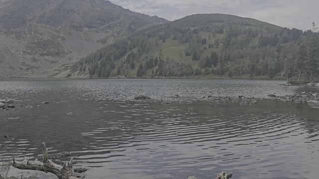 20250729_133651 смотреть онлайн