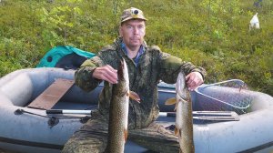 Рыбалка на спиннинг и кружки/ Таежная изба/ Чернику граблями.