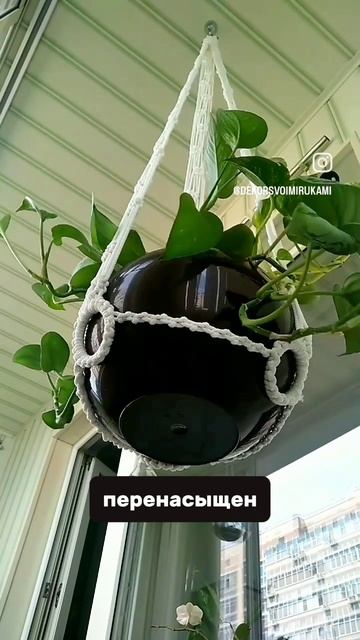 Всем по брошке