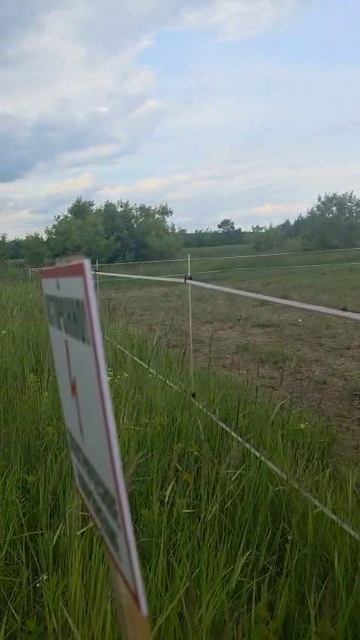 Отзыв на электропастух Agri 1000 смотреть онлайн