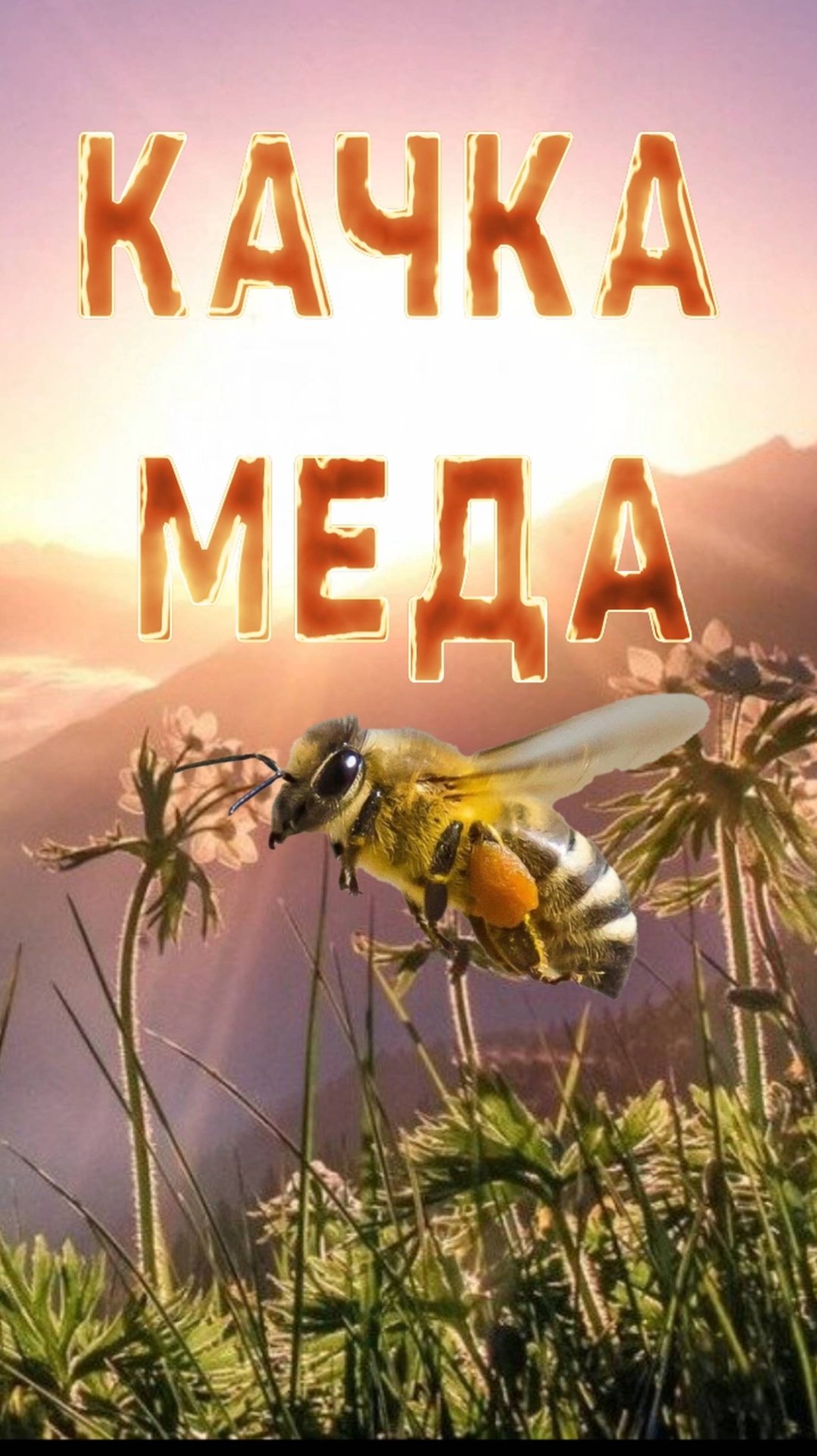 Откачка меда 2025 год