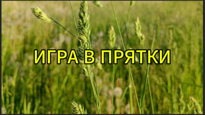 Игра в прятки смотреть онлайн