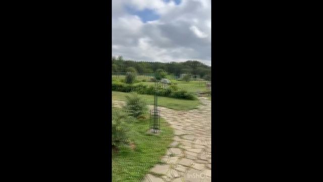 Шишкино смотреть онлайн