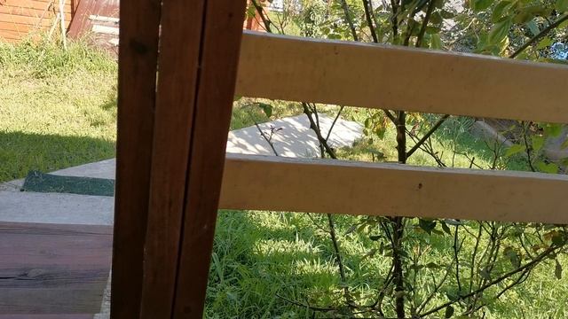 СОЧИ ГОРНОЕ ЛОО ВЕЧЕР 15.08.2025 смотреть онлайн