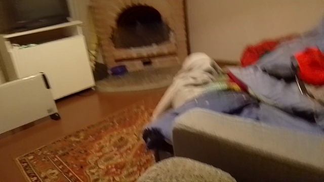 ржака 2 часть фантазии пьяного призрака и дядя Валера с лесом сказкой смотреть онлайн