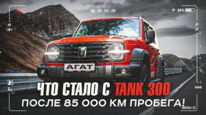 TANK 300. Разбираемся с надёжностью модели. Состояние двигателя после 85 000 километров пробега