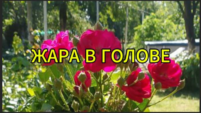 Жара в голове смотреть онлайн