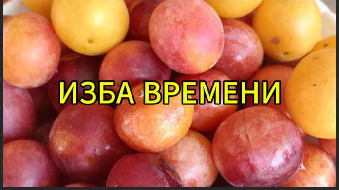 Изба времени смотреть онлайн