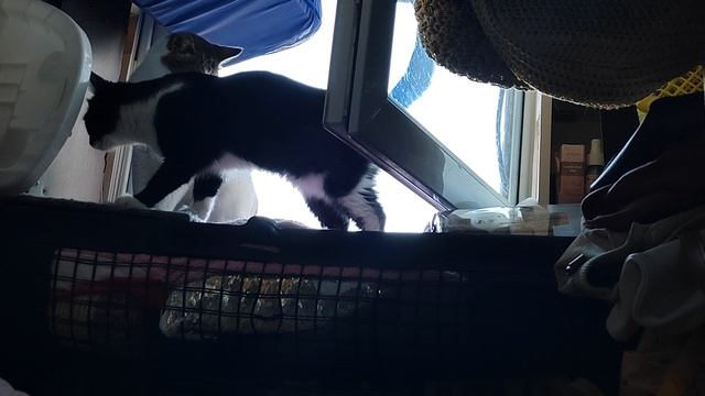 Устала от нежностей.mp4