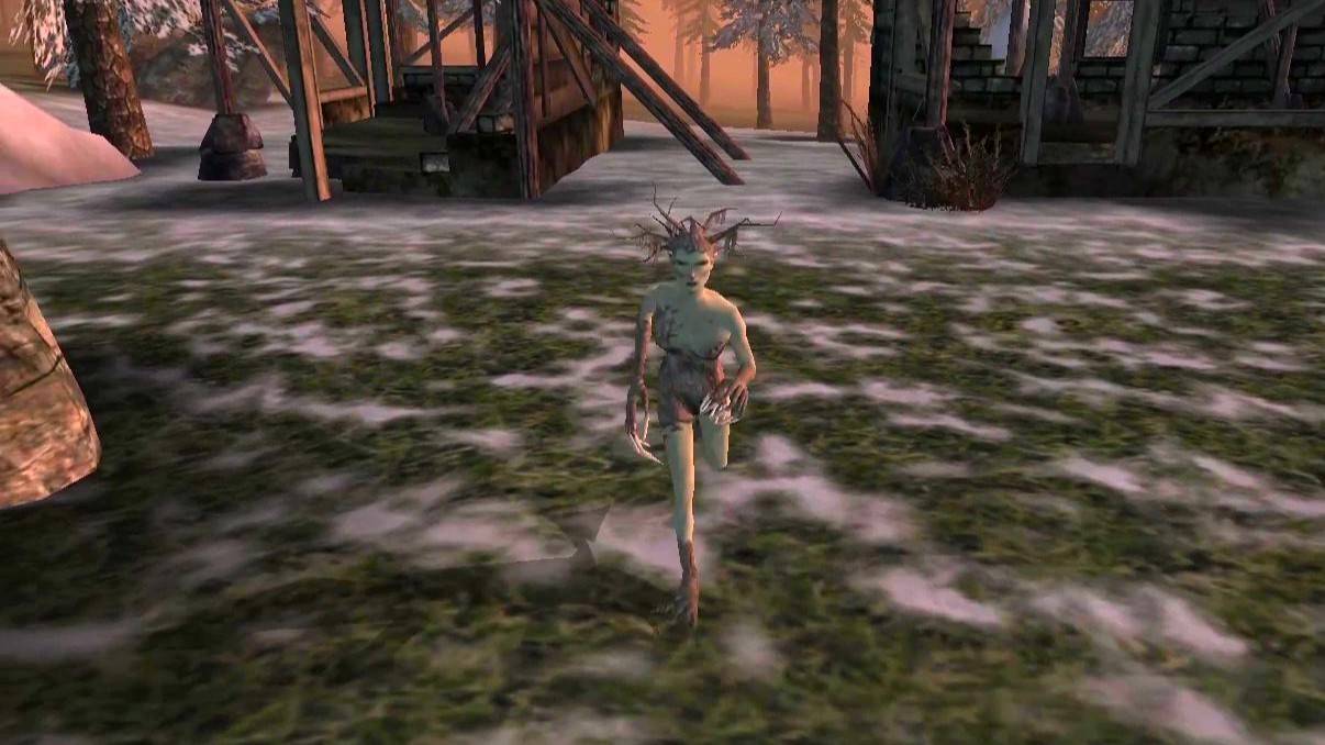 Спригганы: The Elder Scrolls III: Morrowind - 13