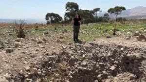 НАЙДЕН ВИНОГРАДНИК НАВОФЕЯ!