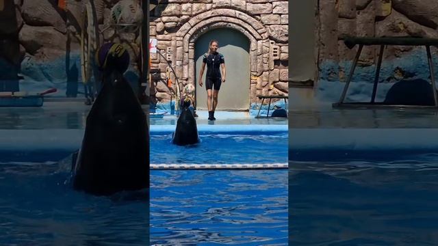 На едине с собой. Адлер. Сочи. Август 2025. смотреть онлайн