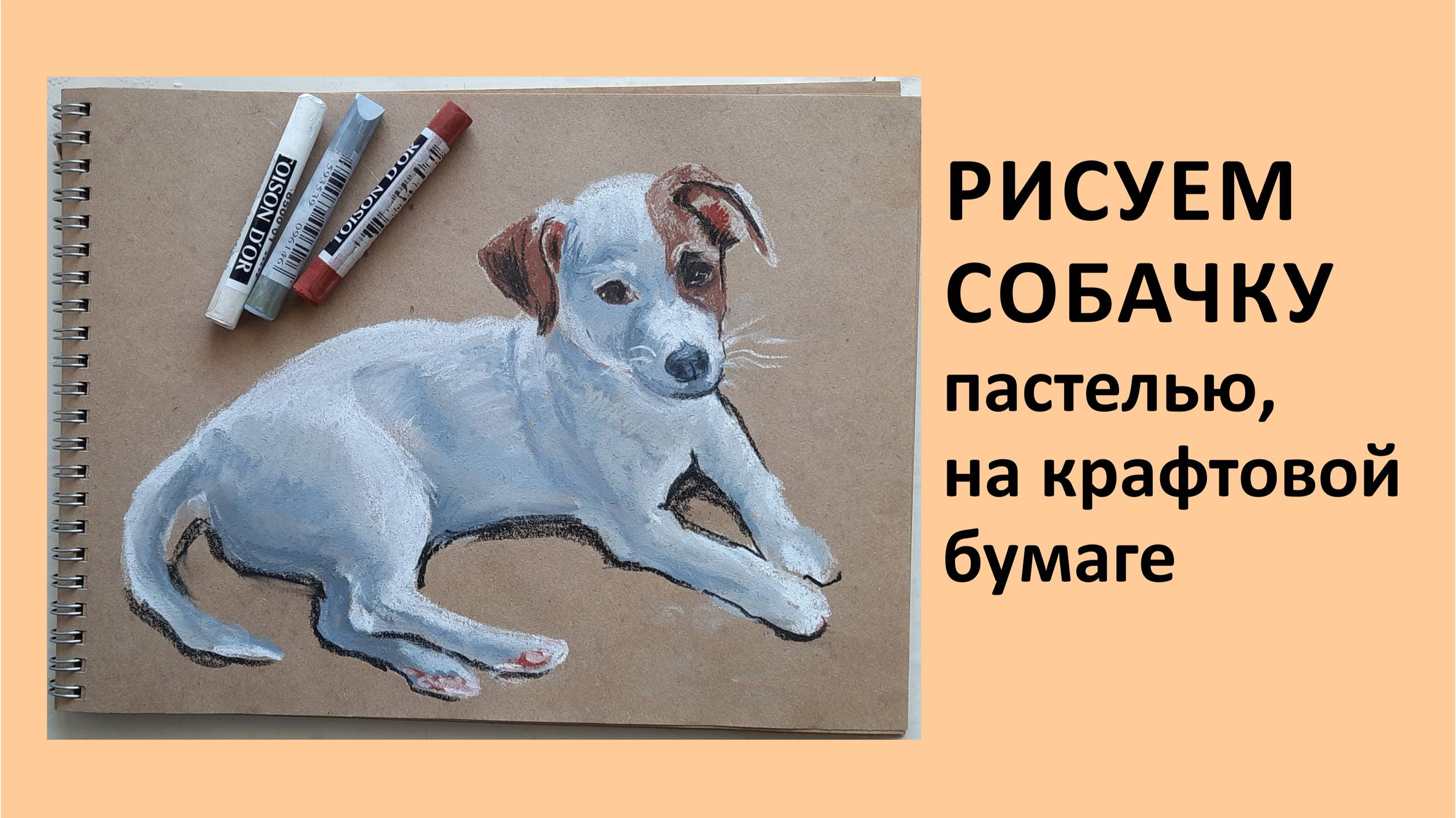 как нарисовать собаку пастелью, крафт бумага, мастер-класс. How to draw a dog with pastels смотреть онлайн