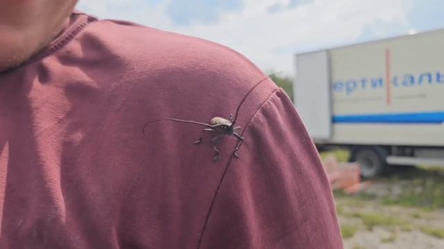 Будни нашей команды в поездке