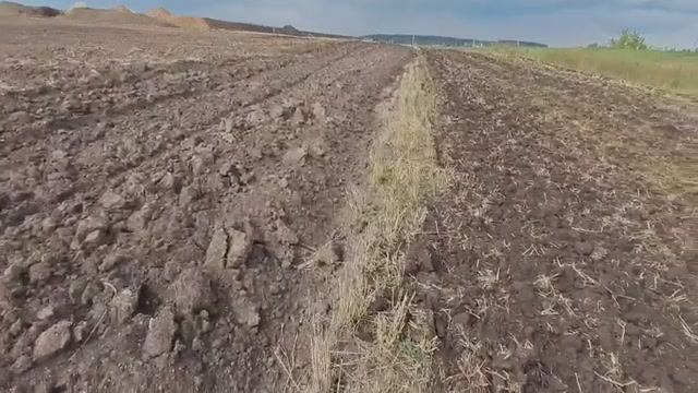 Пахать или рыхлить? Две технологии обработки почвы на одном поле.