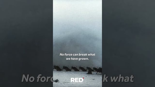 The Reds - Rise Up смотреть онлайн