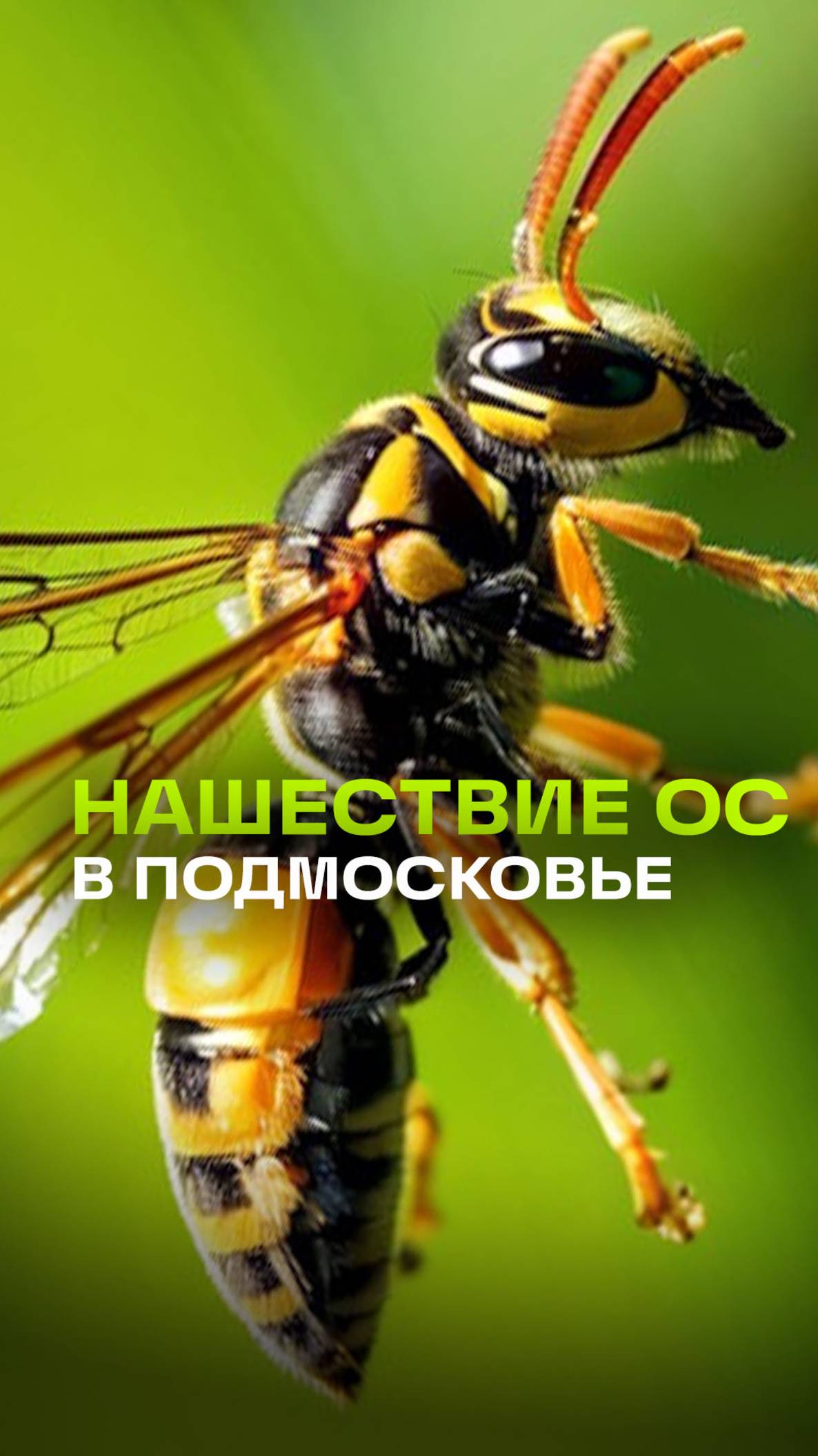 Телеканал 360