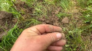 И сразу серебро