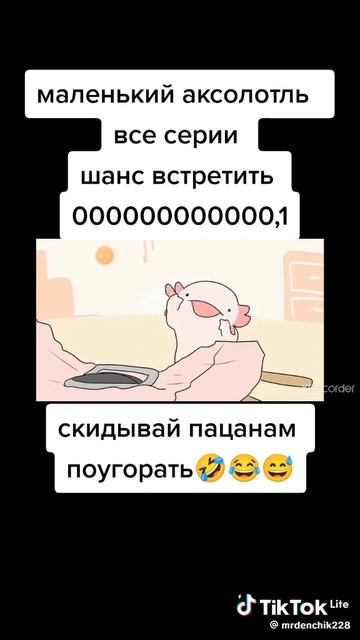 Кабибара и кабибарчики