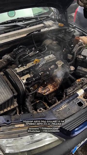 OPEL - НАДЕЖНОСТЬ и ТОЧКА! #автоподбор #автоприколы #автоюмор #автомобили #купитьавто смотреть онлайн