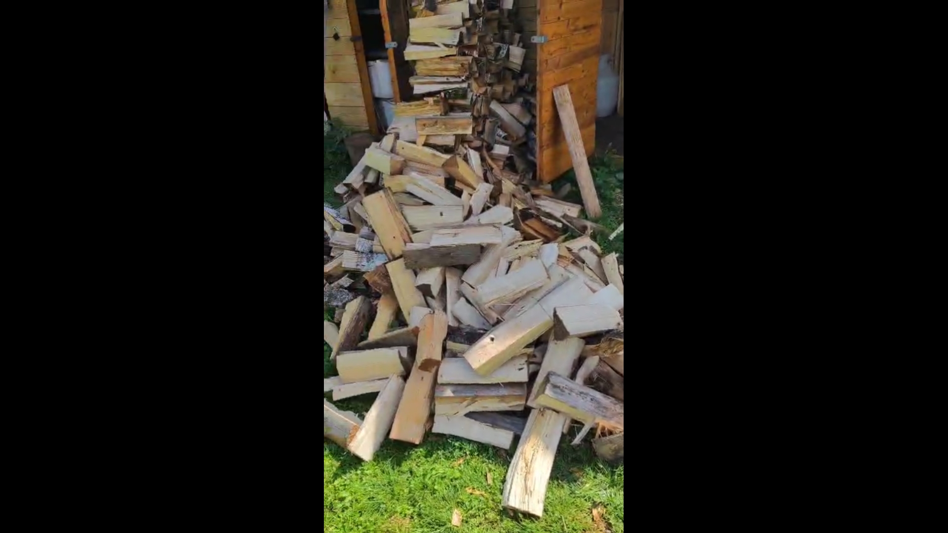 Заготавливаем и складываем дрова. смотреть онлайн