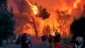 Лесные пожары сжигают Испанию, Грецию и Португалию. Военные и пожарные борются с огнем бесперебойно