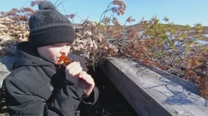 весенняя охота на гуся в Коми 2025. первая часть