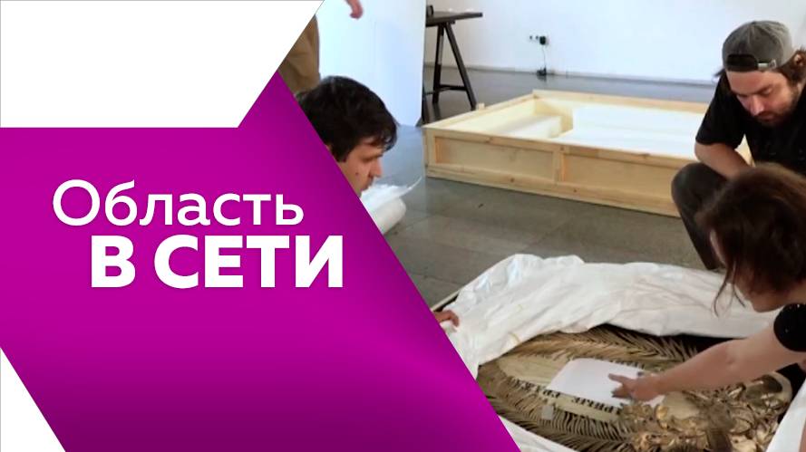 Область в сети № 316