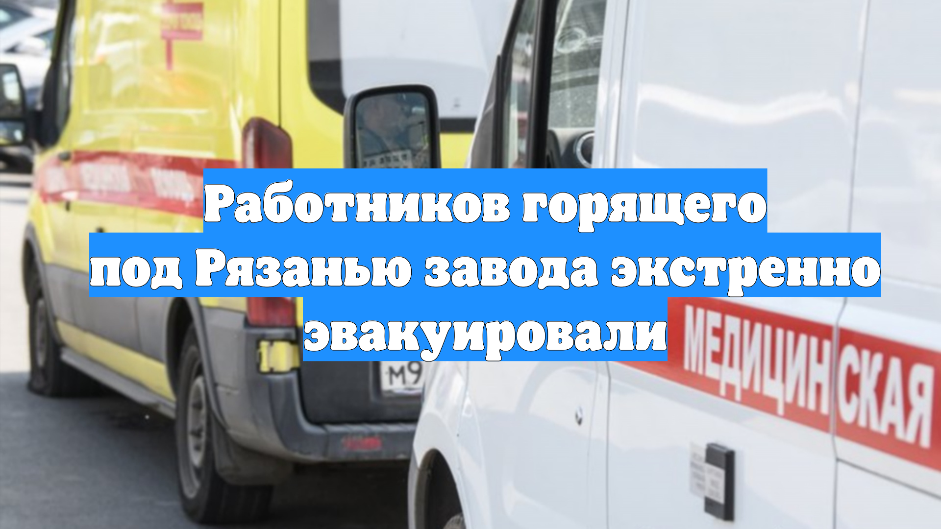 Первый Новостной