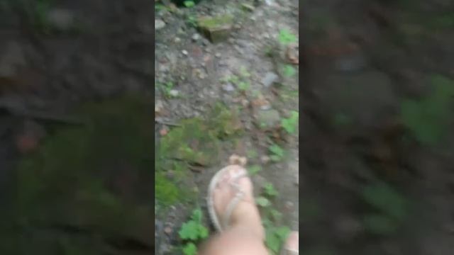 🌺🌺 смотреть онлайн