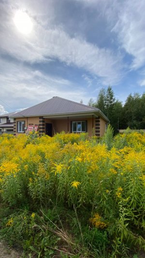 Дом КП Заречный