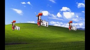 Пират флекс