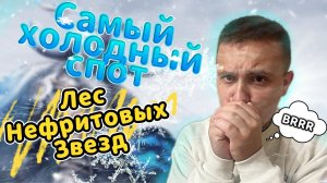 Топ Спот для Новичков 👉 Black Desert | BDO ▶️ Лес Нефритовых Звезд