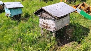 Снимаем магазины на пасеке. Медосбор подошол к концу.