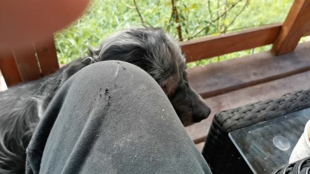 СОЧИ ГОРНОЕ ЛОО УТРО 15.08.2025 смотреть онлайн