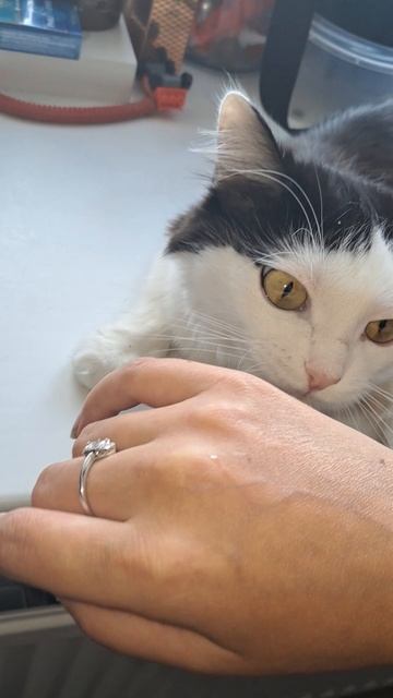 ПРИВЕТ ОТ МАРУСИ 😘