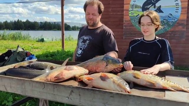 WhatsApp Video 2025-08-15 at 14.36.11 смотреть онлайн