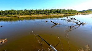 ПОЕЗДКА НА ЧУМЫШ это фиаско братан НИ ОДИН СУДАК НЕ ПОСТРАДАЛ спиннинговая рыбалка с берега