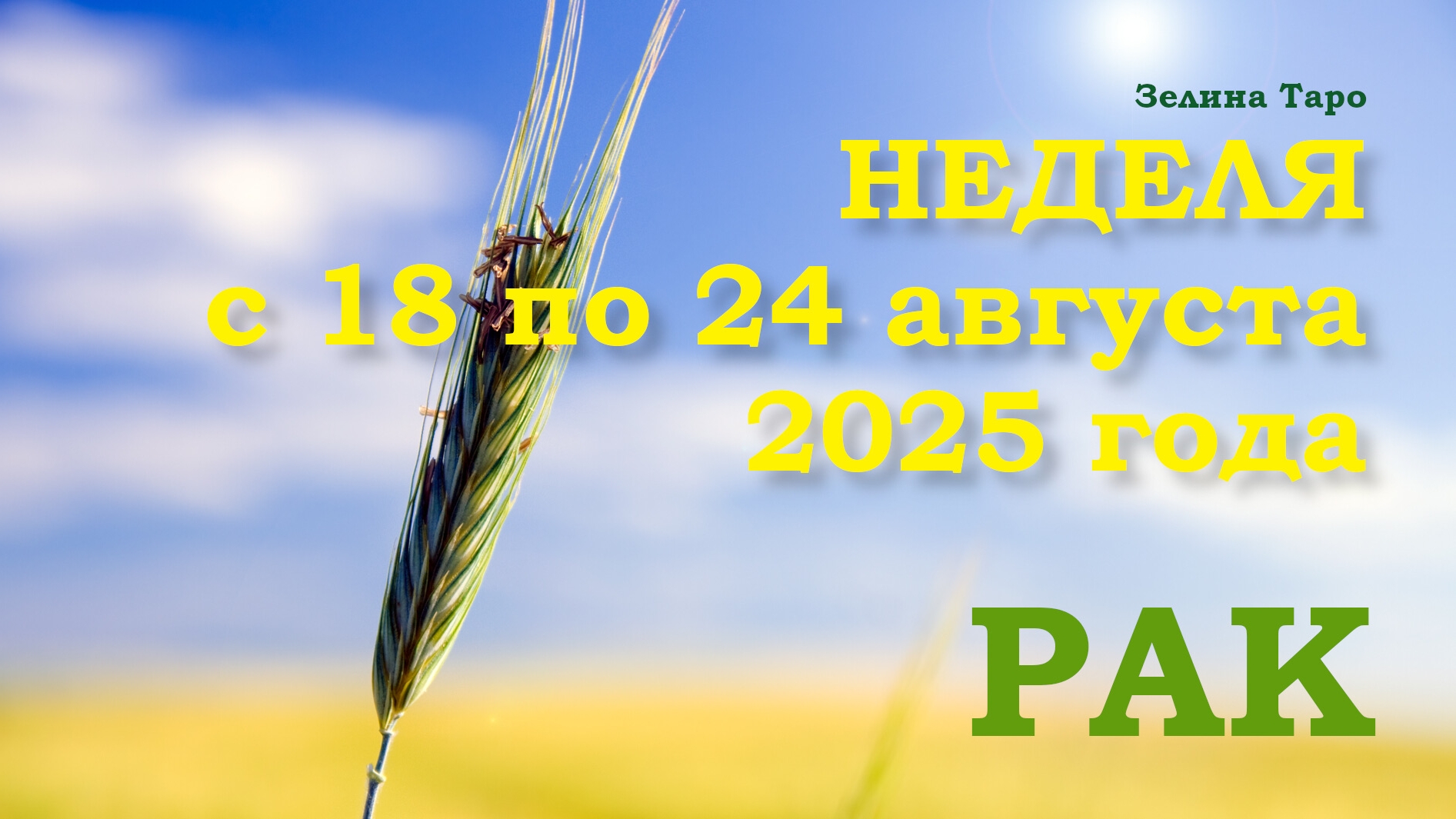 РАК | ТАРО прогноз на неделю с 18 по 24 августа 2025 года