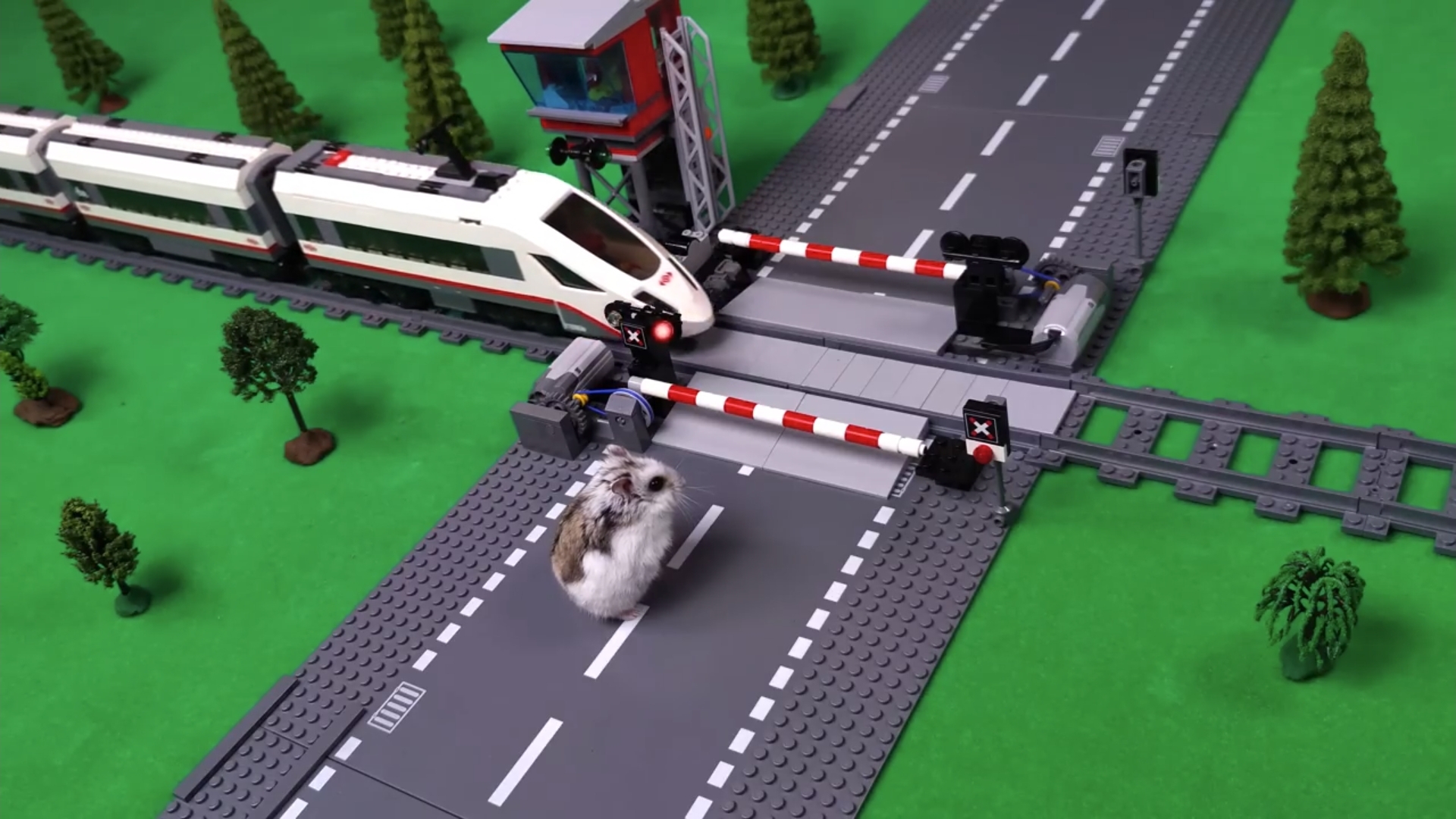 Лего поезд и хомяки смотреть онлайн
