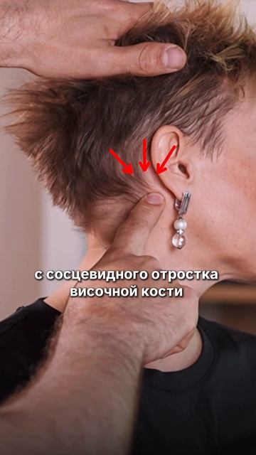 Важная мышца нашего тела смотреть онлайн