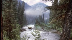 НЕОБЪЯСНИМЫЙ СЛУЧАЙ в ТАЙГЕ.  ЛЕШИЙ КРУГАМИ ВОДИТ  Часть 1
