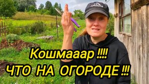 КУПИЛИ ДОМ В ДЕРЕВНЕ | Кошмааар что на огороде | Дом в деревне | Деревенские будни