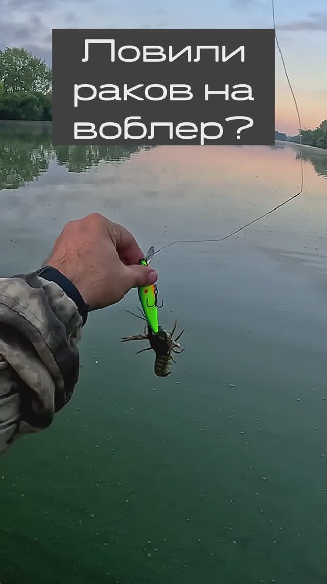 🔥 Я не верил, что это сработает! ЛУЧШИЙ ВОБЛЕР НА РАКА! 🤣🦞🎣 #shorts #ловляраков #воблер смотреть онлайн
