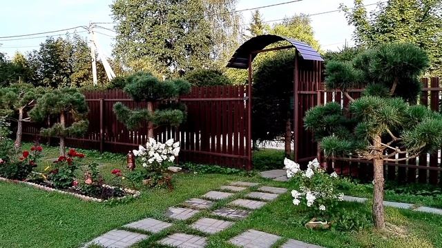 Зеркала в саду - окно в Нарнию, хелат железа. смотреть онлайн