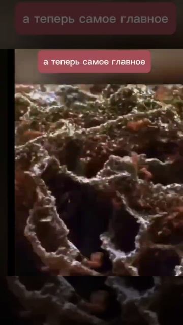 Неизведанное 🤷🏼Fog_Туман🤷🏼